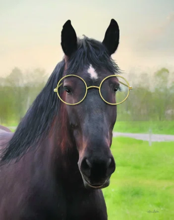 Horse+With+Round+Glasses+On+Canvas+Print