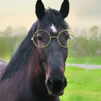 Horse+With+Round+Glasses+On+Canvas+Print